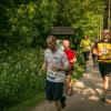 pferd-werkzeuge-lauf-06-2017 (339)