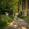 pferd-werkzeuge-lauf-06-2017 (254)