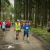 pferd-werkzeuge-lauf-06-2017 (682)