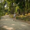 pferd-werkzeuge-lauf-06-2017 (551)