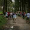 pferd-werkzeuge-lauf-06-2017 (690)