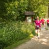 pferd-werkzeuge-lauf-06-2017 (335)
