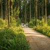 pferd-werkzeuge-lauf-06-2017 (344)