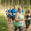 pferd-werkzeuge-lauf-06-2017 (394)