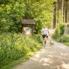 pferd-werkzeuge-lauf-06-2017 (258)