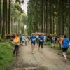 pferd-werkzeuge-lauf-06-2017 (629)
