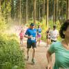 pferd-werkzeuge-lauf-06-2017 (370)