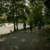 pferd-werkzeuge-lauf-06-2017 (541)
