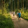 pferd-werkzeuge-lauf-06-2017 (350)