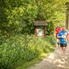pferd-werkzeuge-lauf-06-2017 (311)