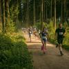 pferd-werkzeuge-lauf-06-2017 (355)