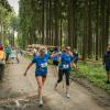 pferd-werkzeuge-lauf-06-2017 (631)