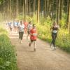 pferd-werkzeuge-lauf-06-2017 (400)