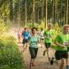 pferd-werkzeuge-lauf-06-2017 (369)