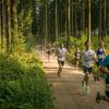 pferd-werkzeuge-lauf-06-2017 (351)