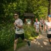pferd-werkzeuge-lauf-06-2017 (284)
