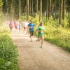 pferd-werkzeuge-lauf-06-2017 (373)
