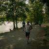 pferd-werkzeuge-lauf-06-2017 (467)