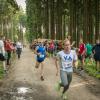 pferd-werkzeuge-lauf-06-2017 (660)