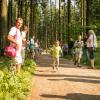 pferd-werkzeuge-lauf-06-2017 (7)