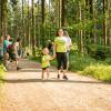 pferd-werkzeuge-lauf-06-2017 (75)