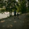 pferd-werkzeuge-lauf-06-2017 (535)