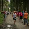 pferd-werkzeuge-lauf-06-2017 (653)