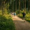 pferd-werkzeuge-lauf-06-2017 (348)