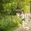pferd-werkzeuge-lauf-06-2017 (290)