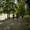 pferd-werkzeuge-lauf-06-2017 (486)