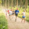 pferd-werkzeuge-lauf-06-2017 (387)
