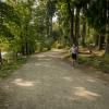 pferd-werkzeuge-lauf-06-2017 (419)