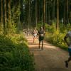 pferd-werkzeuge-lauf-06-2017 (353)