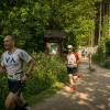 pferd-werkzeuge-lauf-06-2017 (260)
