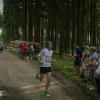pferd-werkzeuge-lauf-06-2017 (668)