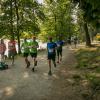 pferd-werkzeuge-lauf-06-2017 (453)