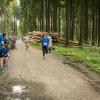 pferd-werkzeuge-lauf-06-2017 (583)