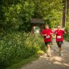 pferd-werkzeuge-lauf-06-2017 (336)