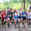 pferd-werkzeuge-lauf-2019-47