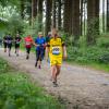 pferd-werkzeuge-lauf-2019-112