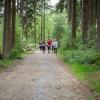pferd-werkzeuge-lauf-2019-141