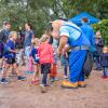 pferd-werkzeuge-lauf-2019-11