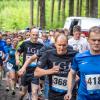 pferd-werkzeuge-lauf-2019-49
