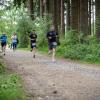 pferd-werkzeuge-lauf-2019-97