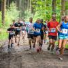 pferd-werkzeuge-lauf-2019-59
