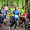 pferd-werkzeuge-lauf-2019-76