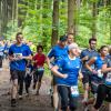 pferd-werkzeuge-lauf-2019-73