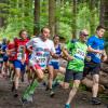 pferd-werkzeuge-lauf-2019-58