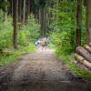 pferd-werkzeuge-lauf-2019-51