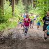 pferd-werkzeuge-lauf-2019-69